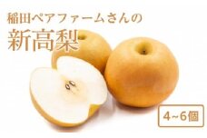 【価格変更・要確認】稲田ペアファームの新高梨（にいたかなし）（1）【4～6玉入り】