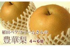 稲田ペアファームの豊華梨（ゆたかなし）（1）【4～6玉入り】【フルーツ 果物 くだもの 食品 人気 おすすめ 送料無料】