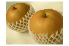 稲田ペアファームの豊華梨（ゆたかなし）（2）【6～9玉入り】【フルーツ 果物 くだもの 食品 人気 おすすめ 送料無料】