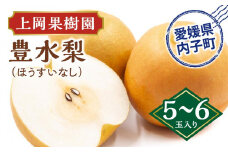 上岡果樹園の豊水梨（ほうすいなし）（1）【5～6玉入り】【フルーツ 果物 くだもの 食品 人気 おすすめ 送料無料】