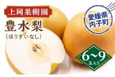 上岡果樹園の豊水梨（ほうすいなし）（2）【6～9玉入り】【フルーツ 果物 くだもの 食品 人気 おすすめ 送料無料】