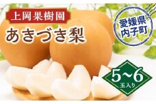 上岡果樹園のあきづき梨（1）【5～6玉入り】【フルーツ 果物 くだもの 食品 人気 おすすめ 送料無料】