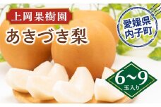 上岡果樹園のあきづき梨（2）【6～9玉入り】【フルーツ 果物 くだもの 食品 人気 おすすめ 送料無料】