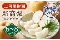 上岡果樹園の新高梨（にいたかなし）（2）【5～8玉入り】【フルーツ 果物 くだもの 食品 人気 おすすめ 送料無料】
