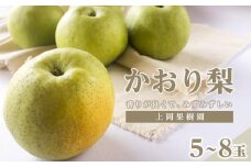 上岡果樹園のかおり梨（2）【5～8玉入り】【フルーツ 果物 くだもの 食品 人気 おすすめ 送料無料】