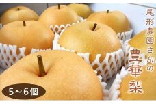 尾形農園の豊華梨(ゆたかなし)（1）【5～6玉入り】【フルーツ 果物 くだもの 食品 人気 おすすめ 送料無料】