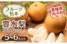 フルーツ松本の豊水梨(ほうすいなし)（1）【5～6玉入り】【フルーツ 果物 くだもの 食品 人気 おすすめ 送料無料】