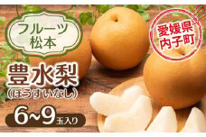フルーツ松本の豊水梨(ほうすいなし)（2）【6～9玉入り】【フルーツ 果物 くだもの 食品 人気 おすすめ 送料無料】