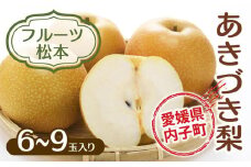 フルーツ松本のあきづき梨（2）【6～9玉入り】【フルーツ 果物 くだもの 食品 人気 おすすめ 送料無料】