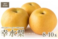 藤渕果樹園の幸水梨(こうすいなし)（2）【8～10玉入り】