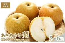 藤渕果樹園のあきあかり梨（1）【5～6玉入り】【フルーツ 果物 くだもの 食品 人気 おすすめ 送料無料】