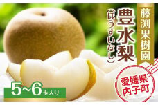 藤渕果樹園の豊水梨（ほうすいなし）（1）【5～6玉入り】【フルーツ 果物 くだもの 食品 人気 おすすめ 送料無料】