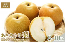 藤渕果樹園のあきあかり梨（2）【8～10玉入り】【フルーツ 果物 くだもの 食品 人気 おすすめ 送料無料】
