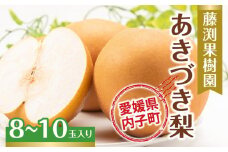 藤渕果樹園のあきづき梨（2）【8～10玉入り】【フルーツ 果物 くだもの 食品 人気 おすすめ 送料無料】