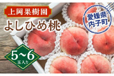上岡果樹園のよしひめ桃（1）【5～6玉入り】