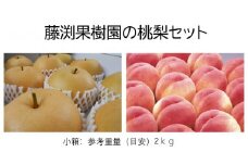 藤渕果樹園の桃・梨セット（1）【各3玉　計6玉入り】