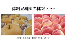 藤渕果樹園の桃・梨セット（2）【各6玉　計12玉入り】