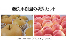 藤渕果樹園の桃・梨セット（3）【各5玉　計10玉入り】