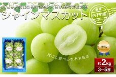 【先行予約】内子町産 シャインマスカット 青秀以上 3～5房 約2kg ★2025年8月下旬から発送★【シャインマスカット 大人気 愛媛県 シャインマスカット 美味しいシャインマスカット 人気 シャインマスカット 皮ごとシャインマスカット シャインマスカット 葡萄 シャインマスカット ブドウ 愛媛県産 新鮮 シャインマスカット 旬 フルーツ 果物 くだもの】