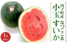 内子町産 小玉すいか「なつここあ」4kg以上 1玉 ★2024年7月下旬から発送★【フルーツ 果物 くだもの 食品 人気 おすすめ 送料無料】