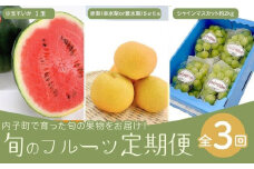3回定期便　内子町産すいか・梨・ぶどう　旬のフルーツ定期便【北海道・沖縄配送不可】【フルーツ 果物 くだもの 食品 人気 おすすめ 送料無料】