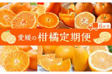 【定期便6回】えひめかんきつ定期便 ＜2024年11月中旬から発送開始＞【紅まどんな せとか 甘平 伊予柑 河内晩柑 みかん ブランド柑橘 紅マドンナ まどんな おすすめ 人気 愛媛 フルーツ 果物 くだもの 食品 人気 おすすめ 送料無料】