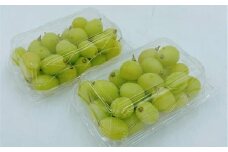【先行予約】内子町産 シャインマスカット 約700g ★2025年8月下旬から発送★【シャインマスカット 大人気 愛媛県 シャインマスカット 美味しいシャインマスカット 人気 シャインマスカット 皮ごとシャインマスカット シャインマスカット 葡萄 シャインマスカット ブドウ 愛媛県産 新鮮 シャインマスカット 旬 フルーツ 果物 くだもの】