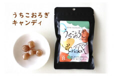 うちこおろぎキャンディセット（40g×7個）【北海道・沖縄・離島配送不可】【菓子 おかし 食品 人気 おすすめ 送料無料】