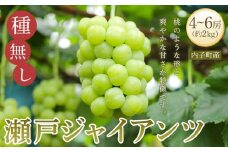  ＜先行予約＞瀬戸ジャイアンツ 約2kg1箱（4房～）【ブドウ マスカット 葡萄 先行予約 マスカット マスカット 美味しい マスカット ぶどう マスカット フルーツ 新鮮 マスカット ぶどう 瀬戸ジャイアンツ マスカット ブドウ 愛媛 ブドウ マスカット 瀬戸ジャイアンツ おすすめ マスカット ブドウ 瀬戸ジャイアンツ マスカット 葡萄 瀬戸ジャイアンツ マスカット 送料無料】