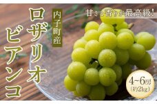 ＜先行予約＞ロザリオ・ビアンコ 約2kg1箱（4房～）【ブドウ マスカット 葡萄 先行予約 葡萄 マスカット ロザリオ・ビアンコ ビアンコ 美味しい ぶどう マスカット ロザリオ・ビアンコ フルーツ　ロザリオ・ビアンコ 特秀 ロザリオ・ビアンコ マスカット 新鮮 マスカット ぶどう マスカット 葡萄 大人気 ぶどう マスカット 愛媛 マスカット ブドウ マスカット 送料無料】