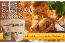はじめてのスパイスカレーミックス　3種セット