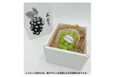 内子町産　シャインマスカット　ムジ以上 1房 約700g ★2024年8月下旬から発送★