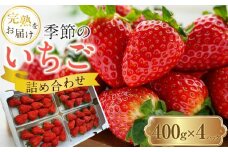 【先行予約】季節のイチゴ詰め合わせ(400ｇ×4パック)＜2025年4月下旬以降発送＞