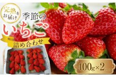 【先行予約】季節のイチゴ詰め合わせ(400ｇ×2パック)＜2025年4月下旬以降発送＞