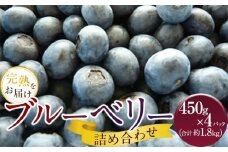 手摘みブルーベリー詰め合わせ（450g×4パック）＜2025年7月下旬より発送＞