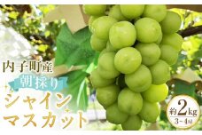 内子町産　竹内巨峰園の朝採りシャインマスカット２Kg（3～4房）
