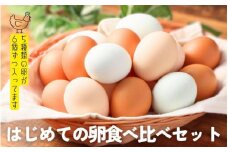 はじめての卵　食べ比べセット 6個×5種類(内割れ保証5個、各種1個づつ)