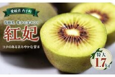 赤キウイ「紅妃」特大サイズ1.7キロ