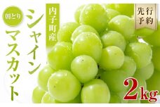 ＜先行予約＞内子町産　朝どりシャインマスカット （2kg）【2025年8月下旬以降発送】