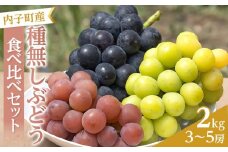 【2025年先行予約】＜赤秀＞　種無しぶどう食べ比べセット3～5房（2ｋｇ）内子町産
