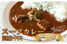 愛媛大学共同企画 愛媛県内子町産イエコオロギパウダー 国産牛肉 タンパク質 食物繊維 鉄分 亜鉛 うちこおろぎスープカレー4個セット