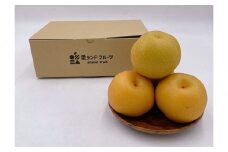 内子町産　豊水梨【5～6玉】★2025年8月下旬から発送★【北海道・沖縄配送不可】