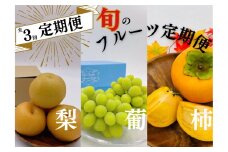 3回定期便　内子町産　梨・ぶどう・柿　旬のフルーツ定期便【北海道・沖縄配送不可】