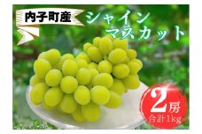 内子町産　シャインマスカット　秀品　2房　1.0kg