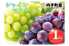 内子町産　シャインマスカット・ピオーネのセット 1.0kg