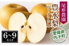 尾形農園の豊水梨（ほうすいなし）（2）【6～9玉入り】【フルーツ 果物 くだもの 食品 人気 おすすめ 送料無料】