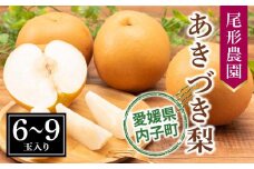 尾形農園のあきづき梨（2）【6～9玉入り】【フルーツ 果物 くだもの 食品 人気 おすすめ 送料無料】