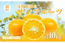【訳あり】浅野農園のサンフルーツ 10kg ※離島への配送不可 【 ふるさと納税 人気 おすすめ ランキング 柑橘 みかん ミカン オレンジ  サンフルーツ フルーツ 訳あり 果物 くだもの 旬 愛媛県産 愛媛みかん 浅野農園 愛媛県 伊方町 送料無料 】 IKTAC011