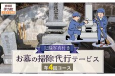お墓の掃除代行サービス 年4回コース  【ふるさと納税 人気 おすすめ ランキング 清掃 掃除 おそうじ お手伝い クリーン 代行 代理 お手入れ サービス お墓参り 愛媛県 伊方町 送料無料】 IKTAA003