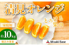 【先行受付】【家庭用】清見オレンジ 10kg ※離島への配送不可 （2026年3月中旬より順次発送）  【 ふるさと納税 人気 おすすめ ランキング みかん 柑橘 ミカン 蜜柑 mikan 果物 清見 清見オレンジ フルーツ 糖度 甘い きよみ タンゴール 温州 オレンジ 家庭用 おすそ分け Misaki Base 愛媛県 伊方町 送料無料 】 IKTAB008 
